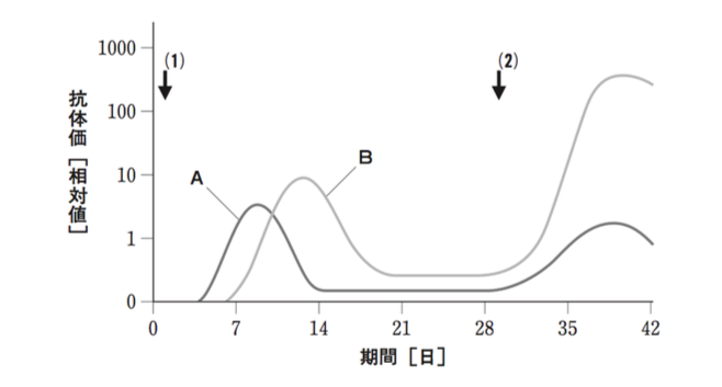 解説画像